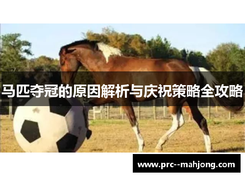 马匹夺冠的原因解析与庆祝策略全攻略